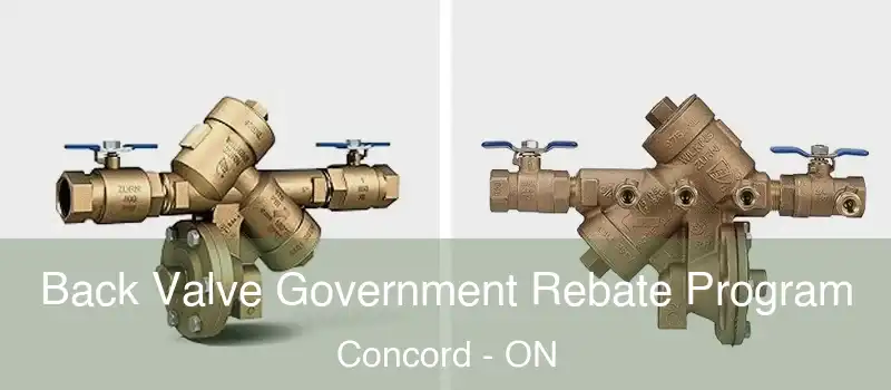  Back Valve Government Rebate Program Concord - ON