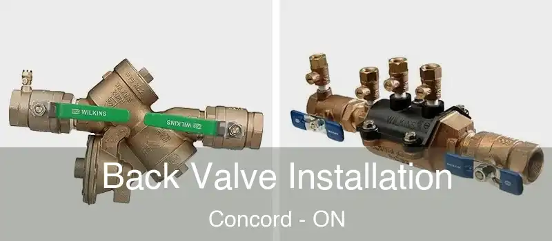  Back Valve Installation Concord - ON