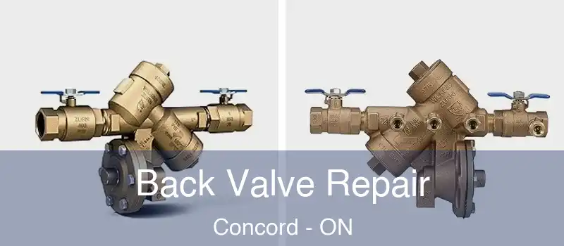  Back Valve Repair Concord - ON