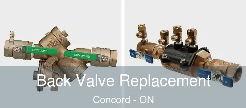  Back Valve Replacement Concord - ON