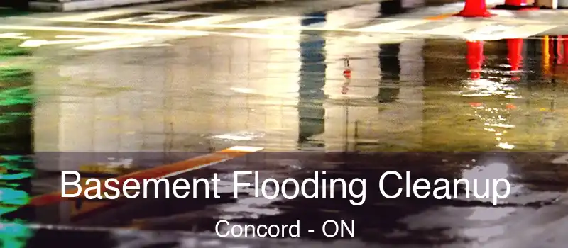  Basement Flooding Cleanup Concord - ON