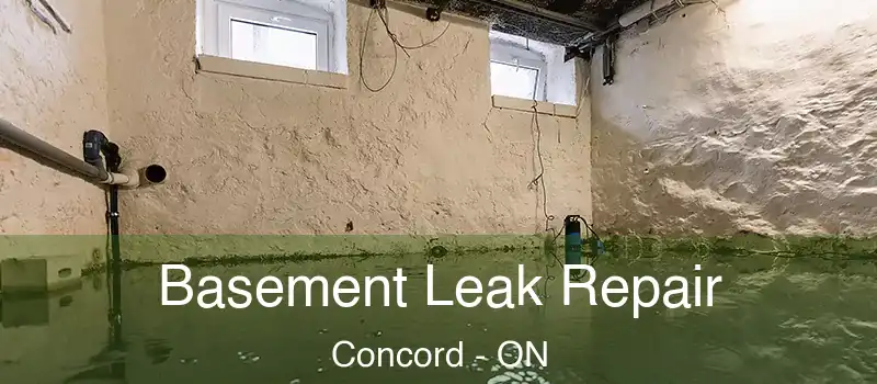  Basement Leak Repair Concord - ON