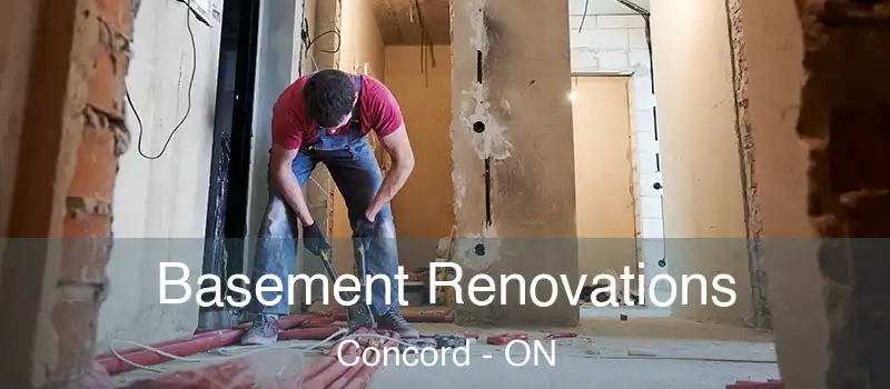  Basement Renovations Concord - ON