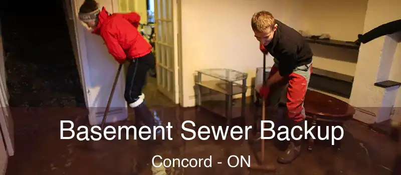  Basement Sewer Backup Concord - ON