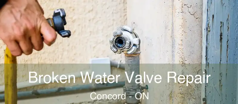  Broken Water Valve Repair Concord - ON