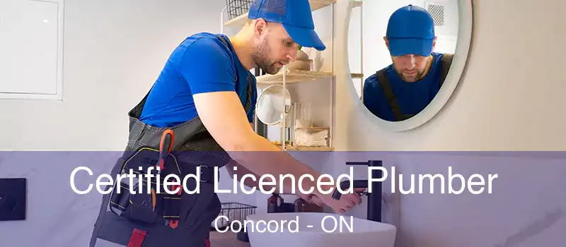  Certified Licenced Plumber Concord - ON