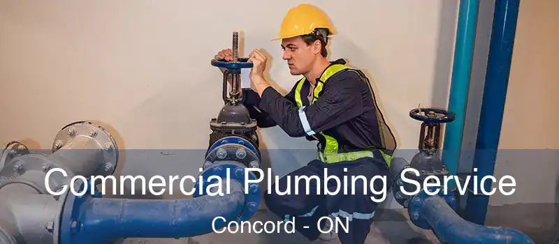  Commercial Plumbing Service Concord - ON