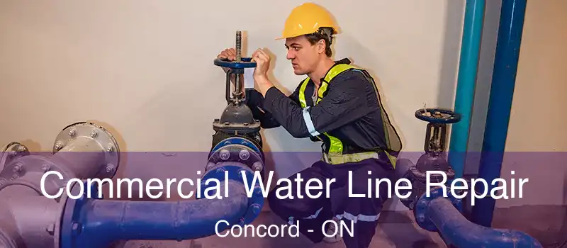  Commercial Water Line Repair Concord - ON