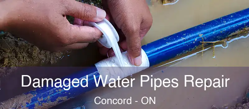  Damaged Water Pipes Repair Concord - ON