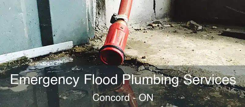  Emergency Flood Plumbing Services Concord - ON