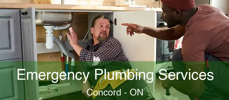  Emergency Plumbing Services Concord - ON
