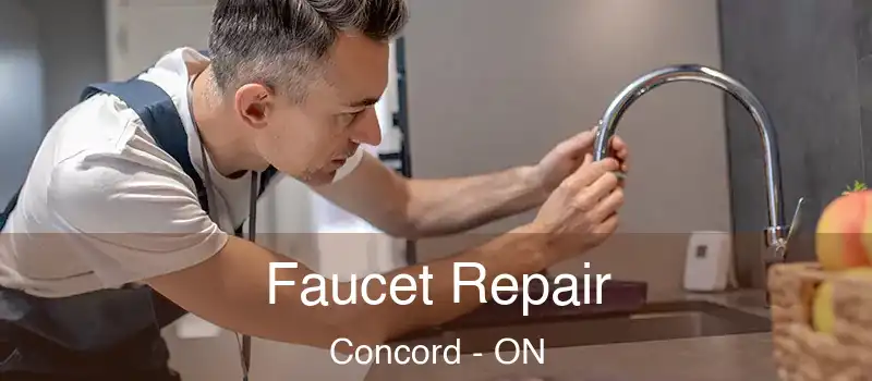  Faucet Repair Concord - ON