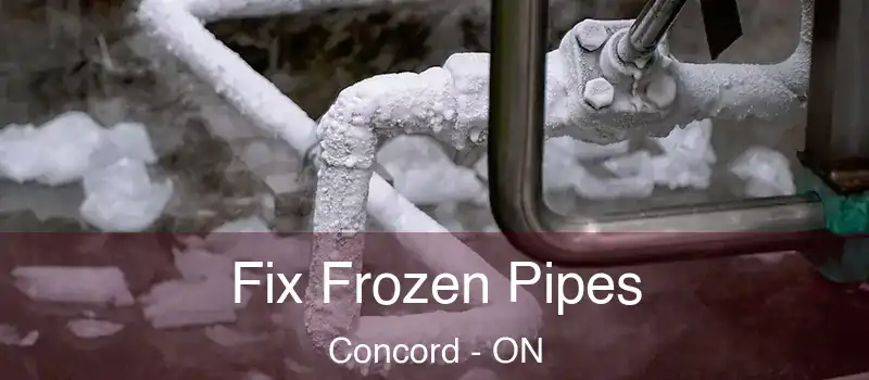  Fix Frozen Pipes Concord - ON