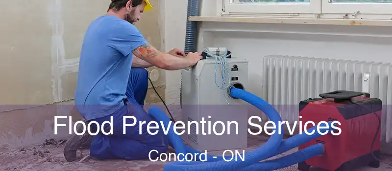  Flood Prevention Services Concord - ON