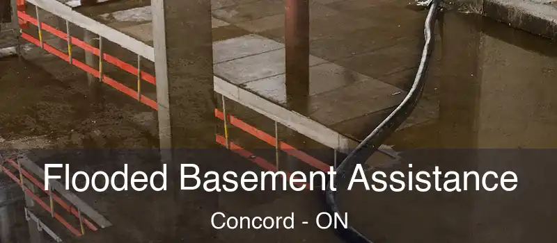  Flooded Basement Assistance Concord - ON