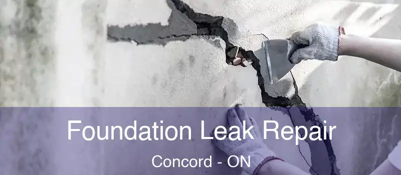 Foundation Leak Repair Concord - ON