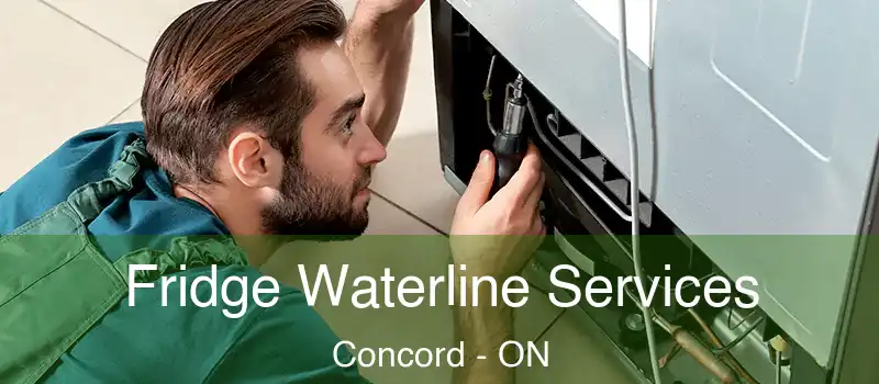  Fridge Waterline Services Concord - ON