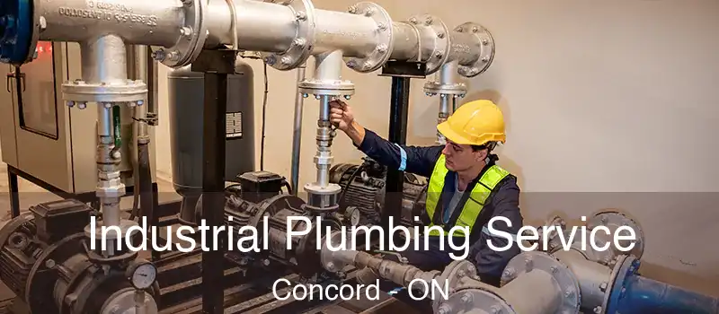  Industrial Plumbing Service Concord - ON