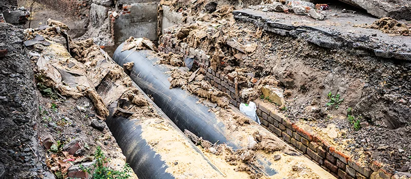 Commercial Sewer Tree Roots Damage Solutions in Concord, ON