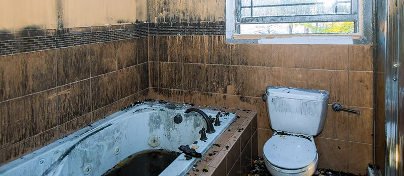 Residential Water Damage Restoration in Concord, ON