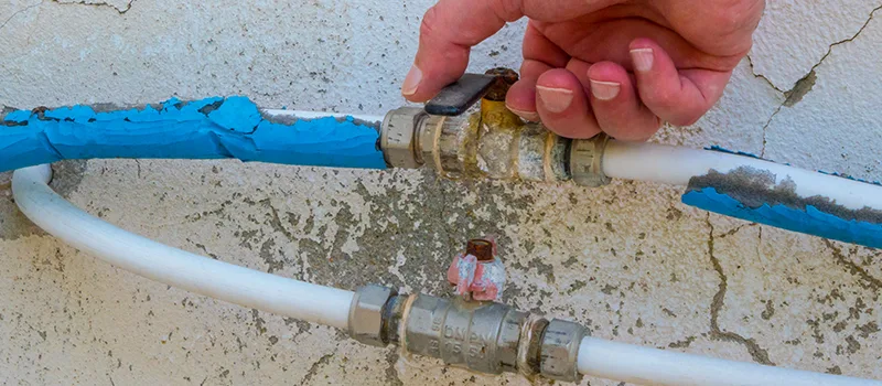 Ceiling Water Damage Repair in Concord, Ontario