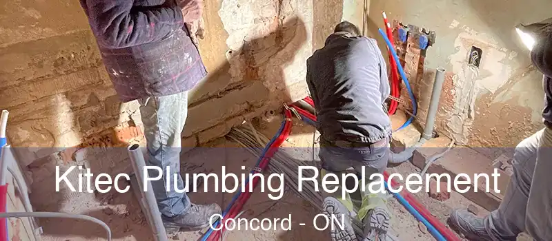  Kitec Plumbing Replacement Concord - ON