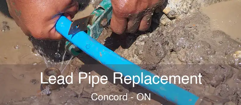  Lead Pipe Replacement Concord - ON