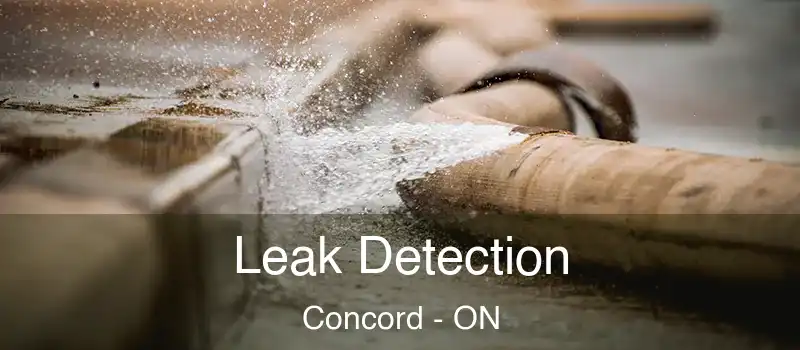  Leak Detection Concord - ON