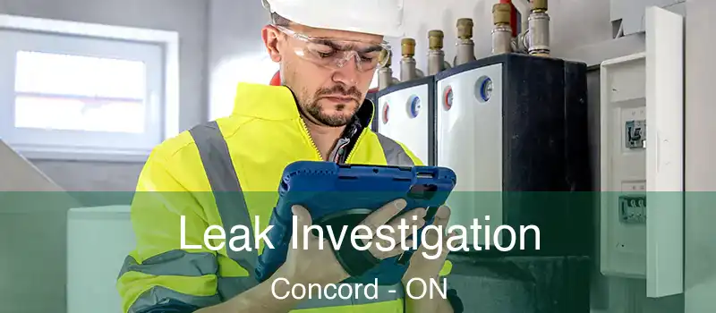  Leak Investigation Concord - ON
