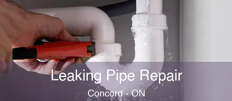  Leaking Pipe Repair Concord - ON
