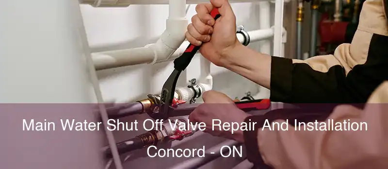  Main Water Shut Off Valve Repair And Installation Concord - ON