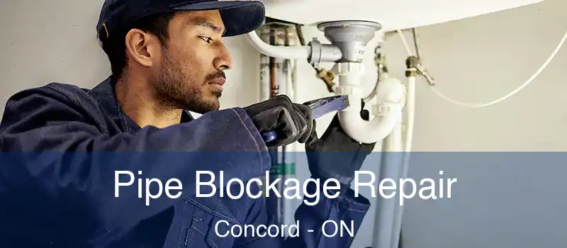  Pipe Blockage Repair Concord - ON