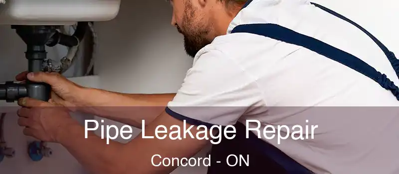  Pipe Leakage Repair Concord - ON