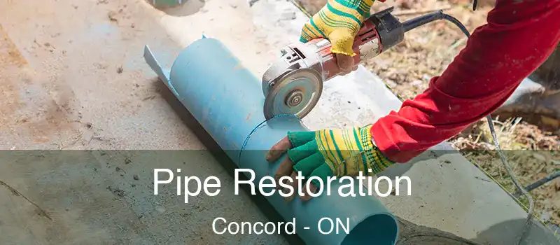  Pipe Restoration Concord - ON