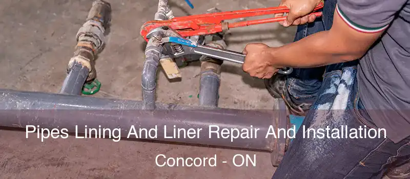  Pipes Lining And Liner Repair And Installation Concord - ON