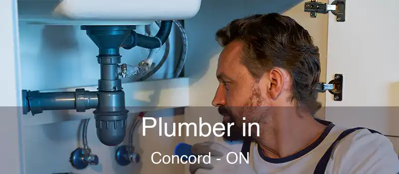  Plumber in Concord - ON