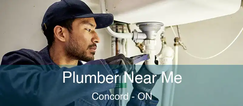  Plumber Near Me Concord - ON