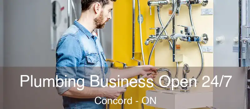  Plumbing Business Open 24/7 Concord - ON