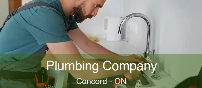  Plumbing Company Concord - ON