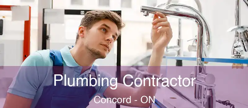 Plumbing Contractor Concord - ON