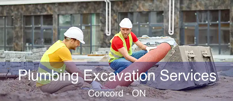 Plumbing Excavation Services Concord - ON