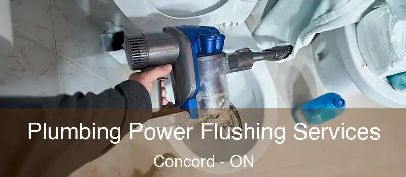 Plumbing Power Flushing Services Concord - ON