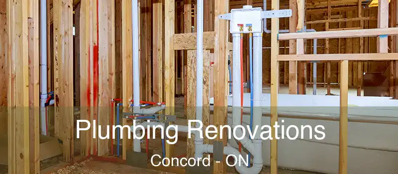  Plumbing Renovations Concord - ON