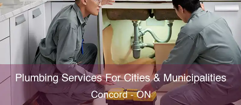  Plumbing Services For Cities & Municipalities Concord - ON