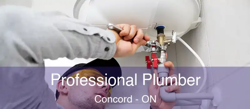  Professional Plumber Concord - ON