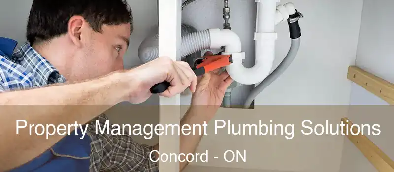  Property Management Plumbing Solutions Concord - ON