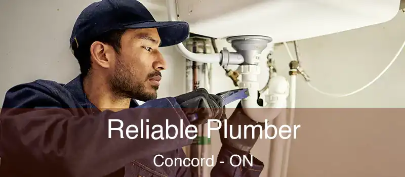  Reliable Plumber Concord - ON