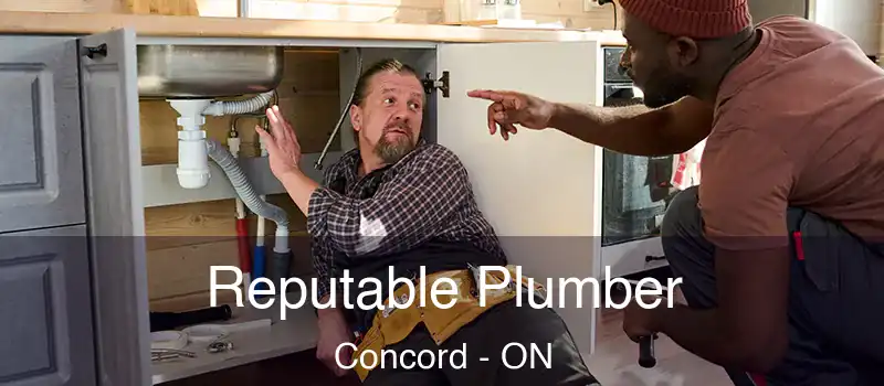  Reputable Plumber Concord - ON