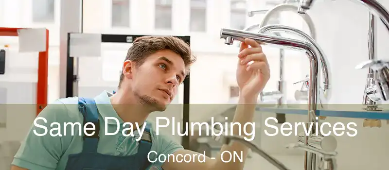  Same Day Plumbing Services Concord - ON