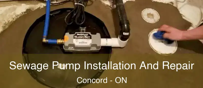  Sewage Pump Installation And Repair Concord - ON